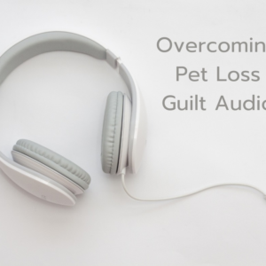 overcoming-pet-loss-guilt